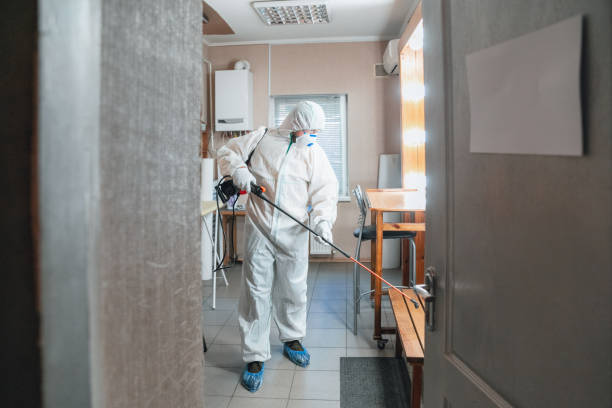 Reliable Kenhorst, PA Mold Inspection, Removal & Remediation Solutions