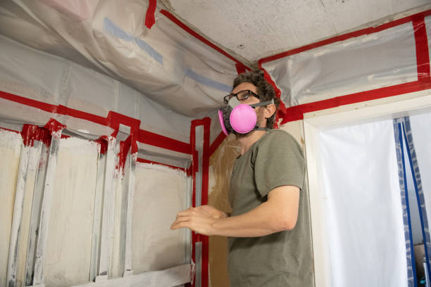 Best Comprehensive Air Testing for Mold Contaminants  in Kenhorst, PA